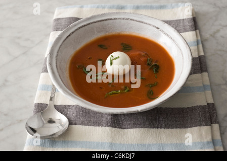 Zuppa di pomodoro con grani di pepe verde e mozzarella di bufala Foto Stock