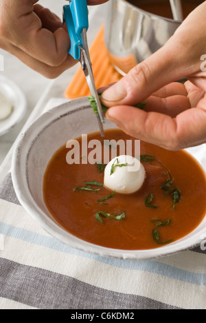 Zuppa di pomodoro con grani di pepe verde e mozzarella di bufala Foto Stock