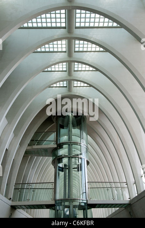 Liège-Guillemins moderna stazione ferroviaria progettata dall'architetto Santiago Calatrava a Liegi in Belgio Foto Stock