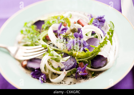 Tarassaco e insalata di violetta Foto Stock