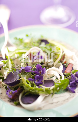 Tarassaco e insalata di violetta Foto Stock