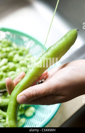 Fave con latte e salvia Foto Stock