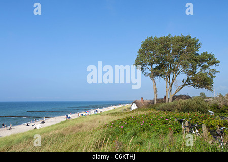 Casa di paglia in spiaggia, Mare Baltico Comune Ahrenshoop, Meclemburgo-Pomerania Occidentale, Germania Foto Stock