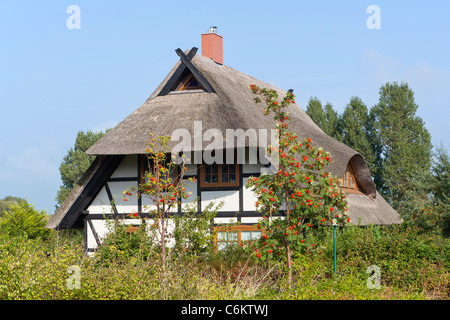 Casa di paglia, Mar Baltico Comune Ahrenshoop, Meclemburgo-Pomerania Occidentale, Germania Foto Stock