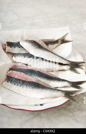 Sarde fresche tagliate a metà Foto Stock