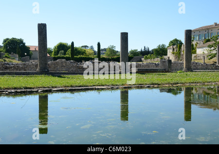 Rovine romane e colonne riflesse in piscina cortile presso la città romana di Vaison-la-Romaine, Vaucluse, Provenza, Francia Foto Stock