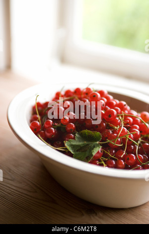 Ribes rosso nel recipiente Foto Stock