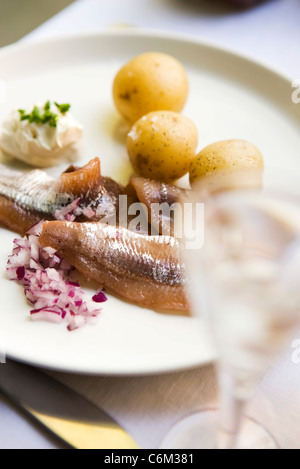 Patate di primizia con aringhe in salamoia e panna acida Foto Stock