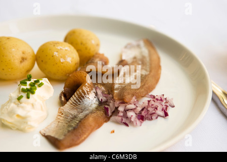 Patate di primizia con aringhe in salamoia e panna acida Foto Stock