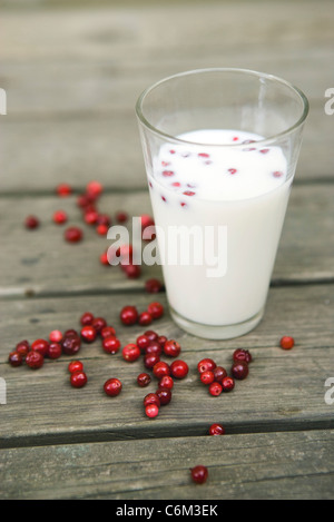 Lingonberries con bicchiere di latte Foto Stock