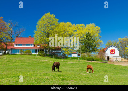 Un ranch a casa con fienile e il pascolo dei cavalli al pascolo sulla Vecchia Penisola di missione, Michigan, Stati Uniti d'America. Foto Stock