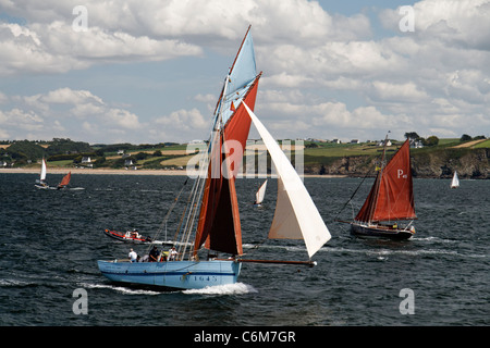 Marche - Avec : taglierina sardina (Concarneau), vela nella baia di Douarnenez, festival marittimo (Brittany, Francia). Foto Stock