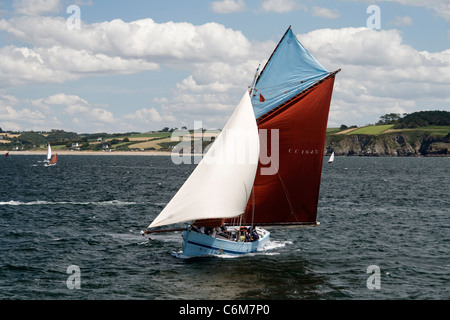 Marche - Avec : taglierina sardina (Concarneau), vela nella baia di Douarnenez, festival marittimo (Brittany, Francia). Foto Stock