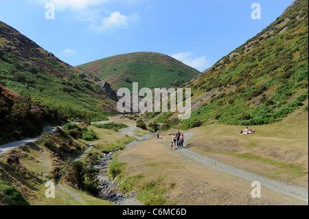 La cardatura Mill Valley sulla lunga Mynd Church Stretton Shropshire Regno Unito Foto Stock