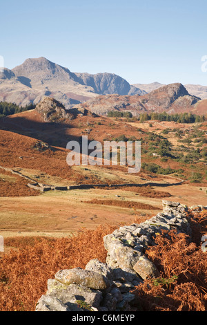 Vista del Langdale Pikes da Langdale nel distretto del lago, Cumbria, Regno Unito Foto Stock