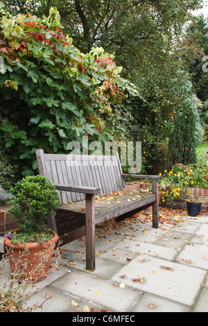 Cortile informale giardino in autunno con una panca in legno e pavimentazione tradizionale patio Foto Stock