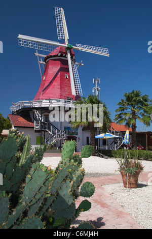 Il Vecchio Mulino a vento olandese, Palm/Eagle Beach, Aruba, Piccole Antille, Caraibi, con profondo cielo blu e cactus in primo piano Foto Stock
