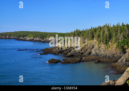 Cutler il sentiero costiero, Bold costa preservare, Cutler, Maine, Stati Uniti d'America Foto Stock