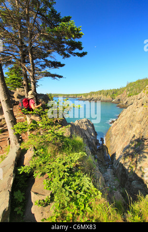 Cutler il sentiero costiero, Bold costa preservare, Cutler, Maine, Stati Uniti d'America Foto Stock