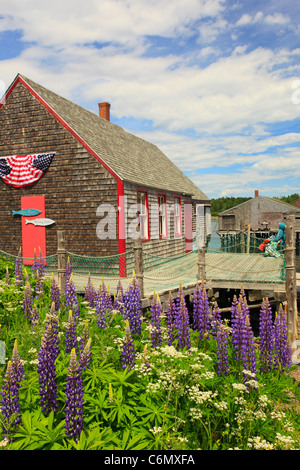 McCurdy Smokehouse Lubec, Maine, Stati Uniti d'America Foto Stock
