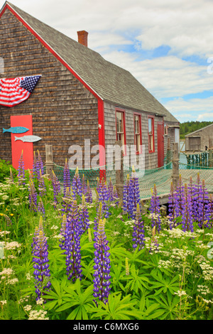 McCurdy Smokehouse Lubec, Maine, Stati Uniti d'America Foto Stock