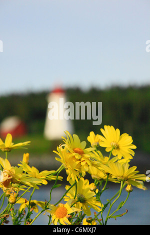 Mulholland Point Lighthouse, Lubec, Maine, Stati Uniti d'America Foto Stock