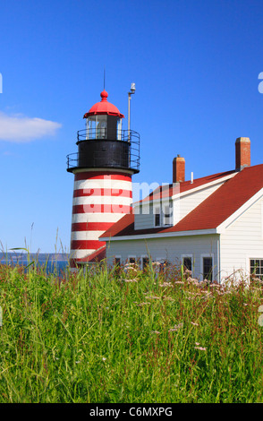 Testa Quaddy Luce, West testa Quaddy parco statale, Lubec, Maine, Stati Uniti d'America Foto Stock