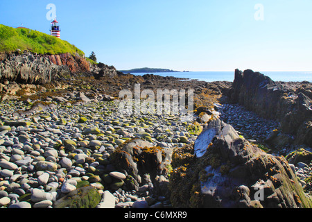 A ovest il Sentiero costiero, Quaddy luce di testa, West Quaddy capo del parco statale, Lubec, Maine, Stati Uniti d'America Foto Stock