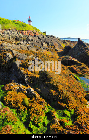 A ovest il Sentiero costiero, Quaddy luce di testa, West Quaddy capo del parco statale, Lubec, Maine, Stati Uniti d'America Foto Stock