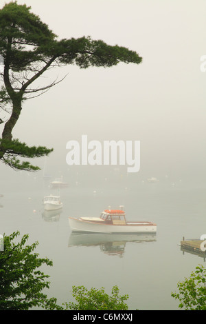 Northeast Harbor, isola di Mount Desert, Maine, Stati Uniti d'America Foto Stock