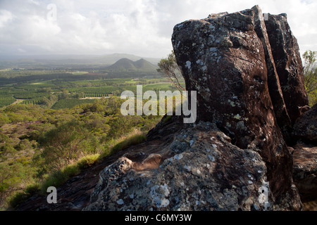 Vista sui campi di macadamia da vicino il vertice fo Mt Ngungun Foto Stock