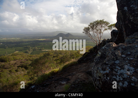 Vista sui campi di macadamia da vicino la cima del monte Ngungun Foto Stock