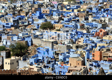 Vista superiore blu vecchi case bramino Jodhpur Rajasthan in India Foto Stock