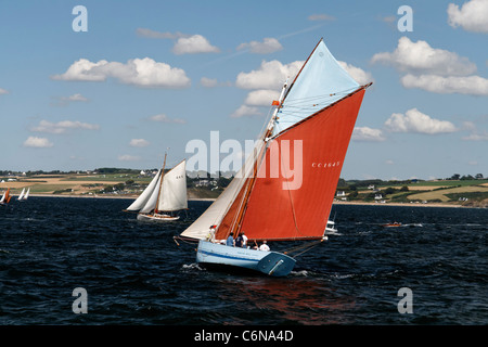 Marche - Avec : Concarneau taglierina sardine, vela in Douarnenez bay (Brittany, Francia). Foto Stock