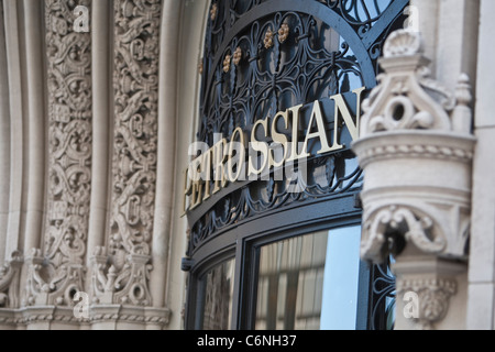 Dettagli architettonici del Alwyn Corte edificio è raffigurato nella Manhattan borough martedì 2 agosto 2011. Foto Stock
