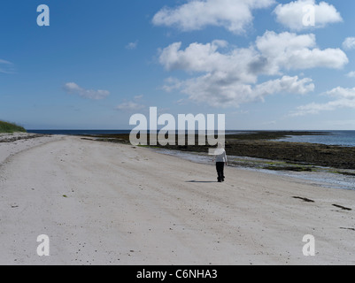 dh South Wick PAPA WESTRAY ORKNEY persona turistica a piedi sabbia bianca spiaggia sabbiosa donna solo argento isole uk Foto Stock