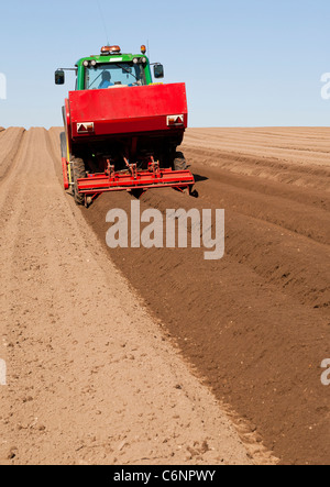 Un trattore agricolo con una piantatrice di patate montato la semina delle patate Foto Stock
