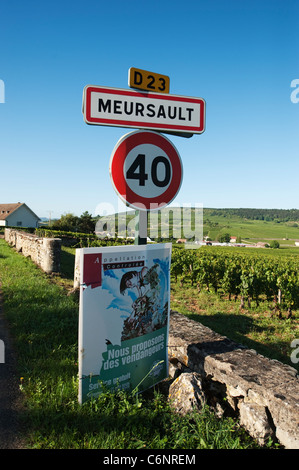 Cartello stradale all'entrata a Meursault village con vigneti Foto Stock