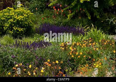 Il giardino a caldo in giugno, RHS Rosemoor, Devon, Inghilterra, Regno Unito Foto Stock