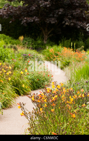 Il giardino a caldo in giugno, RHS Rosemoor, Devon, Inghilterra, Regno Unito Foto Stock