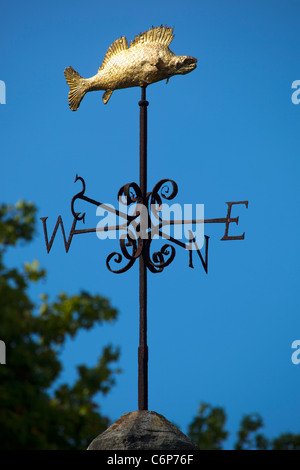 'L'Bradford gujon' Weathervane sulla parte superiore del vecchio Lock Up carcere sulla città ponte a Bradford on Avon Foto Stock