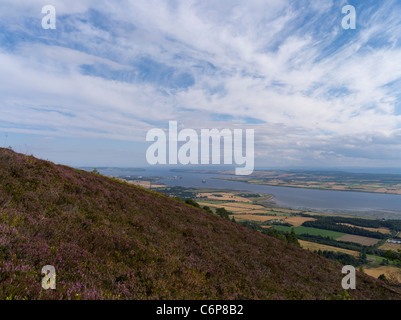 dh FYRISH HILL ROSS CROMARTY Vista di Cromarty firth e. Invergordon Highlands scozzesi Highland colline eriche pasqua Rossshire Foto Stock