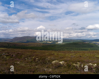 dh FYRISH HILL ROSS CROMARTY Scottish View from Cnoc Fyrish Campagna delle Highland Foto Stock