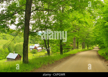 Azienda agricola sulla strada Pomfret, Woodstock, Vermont, USA Foto Stock