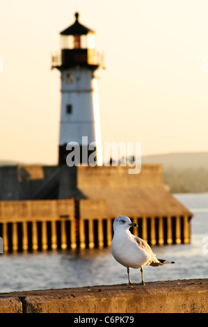 Un gabbiano sorge sul porto di Duluth frangionde con il Frangiflutti nord faro in background. Foto Stock
