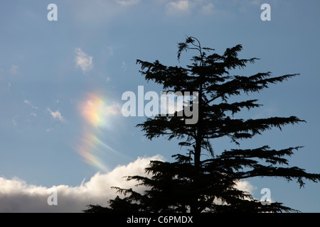 Parhelion o sundog, causato dalla luce solare off rifrangente i cristalli di ghiaccio in alta altitudine cloud, su Windermere, Cumbria, Regno Unito. Foto Stock