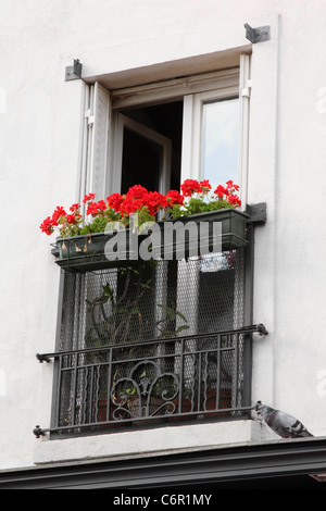 Montmartre periodo finestra Foto Stock