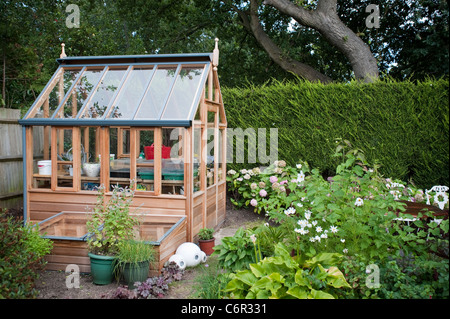 Nuovo di zecca carino piccola serra in un giardino privato a Londra con un sacco di piante di biancheria da letto nella parte anteriore e di alcuni alberi. Foto Stock