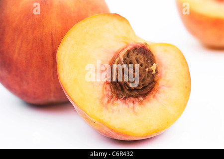 Prunus persica. Peschi su sfondo bianco Foto Stock