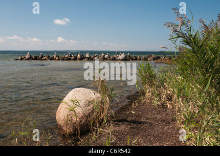 Isola di Poel, Mar Baltico, Meclenburgo-Pomerania Occidentale, Germania, Europa Foto Stock